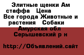 Элитные щенки Ам.стаффа › Цена ­ 25 000 - Все города Животные и растения » Собаки   . Амурская обл.,Серышевский р-н